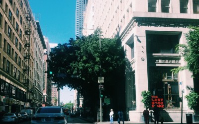 Store Information