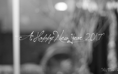 a happy new year 2017 !!!!!