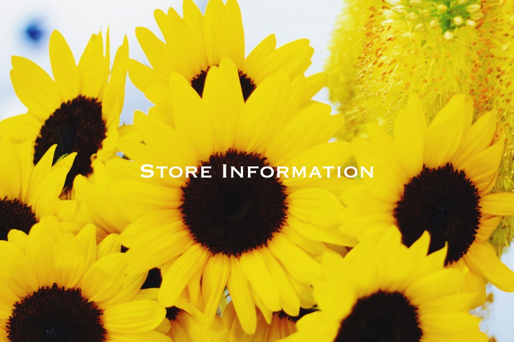 Store Information