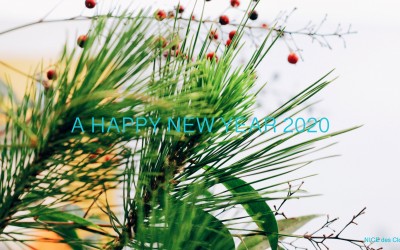 a happy new year 2020 !!!!!