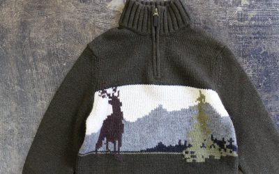Eddie Bauer Half Zip “Forest” Sweater