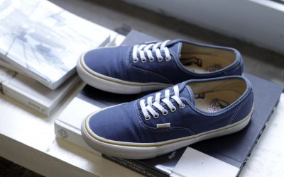 VANS × ANTI HERO Authentic Pro “JULIEN STRANGER”