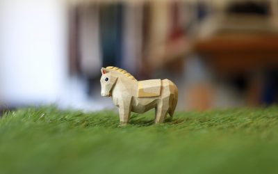 happy new year 2026!!!